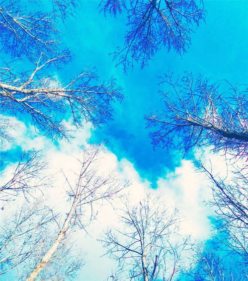 大美中国 符广义全国摄影大赛投稿作品精品展示