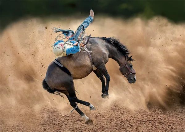 第三届维也纳国际摄影展画意组获奖作品赏析